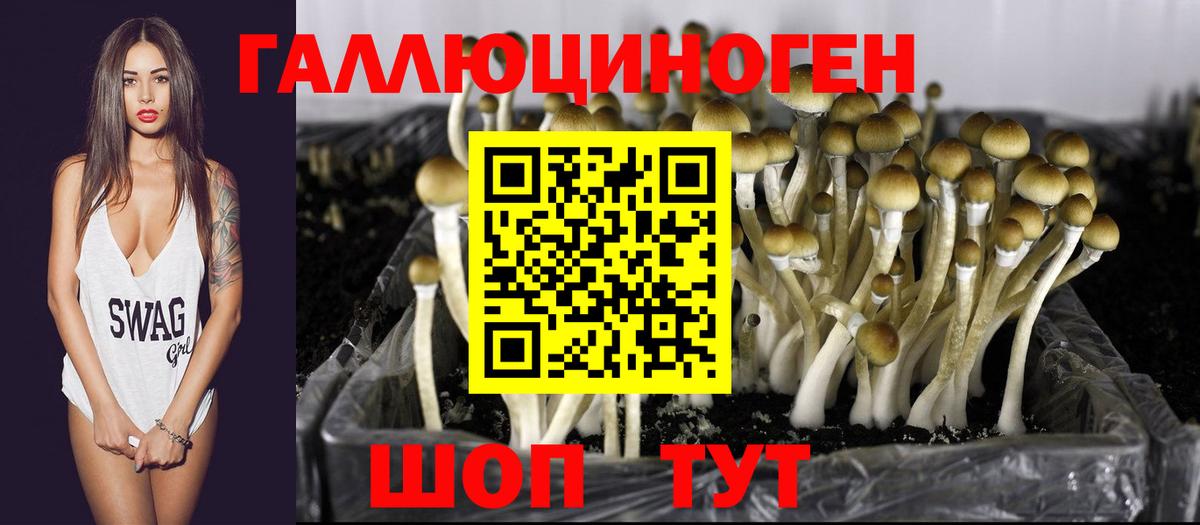 Янаул  Псилоцибиновые грибы прущие грибы  Псилоцибиновые грибы мухоморы  Вход с VPN 